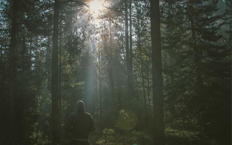 Choosing an AI agent framework in 2026